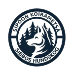 image__80___1_-removebg